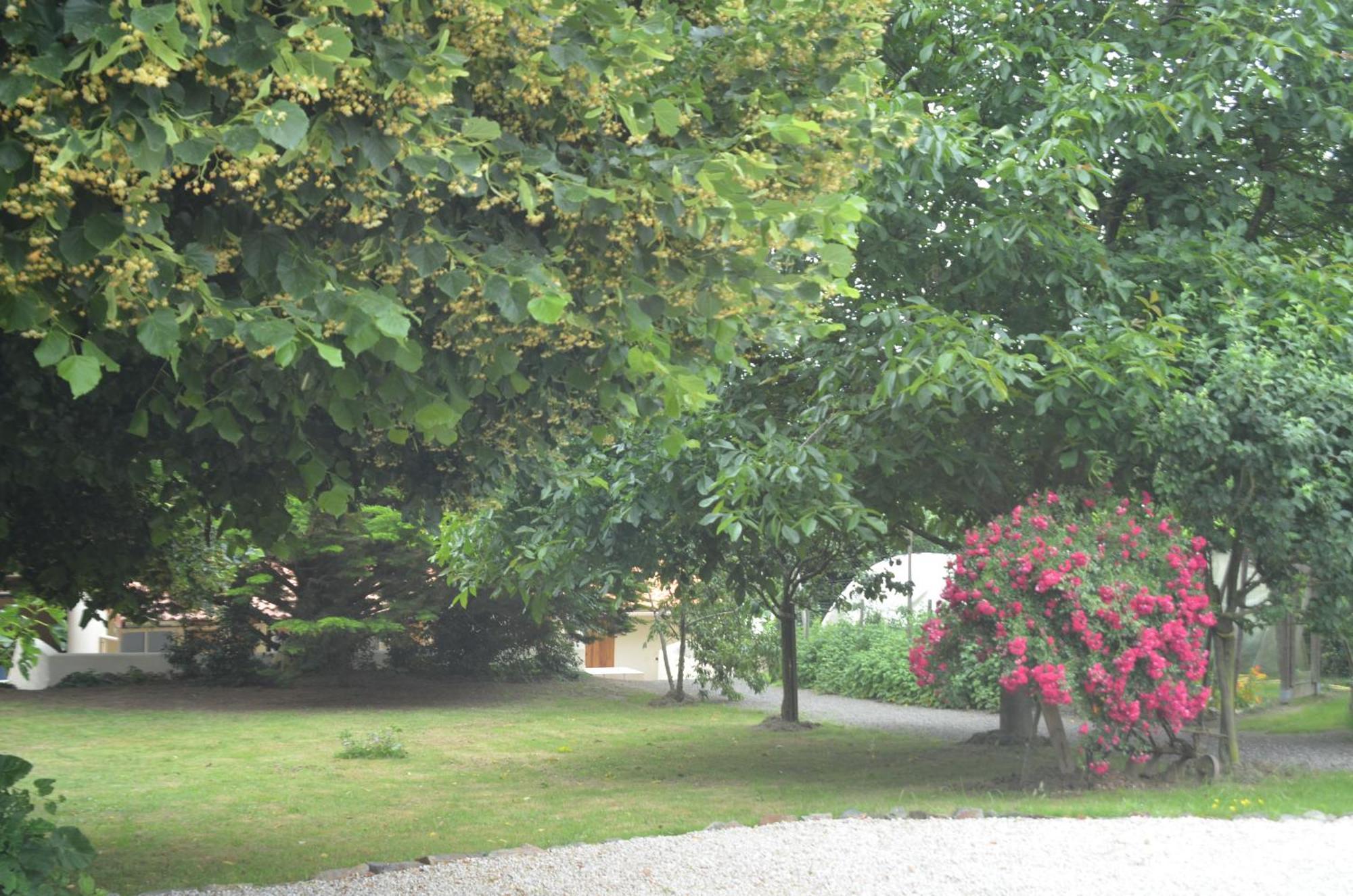 Chambres D'Hotes La Forterie Vaire ภายนอก รูปภาพ