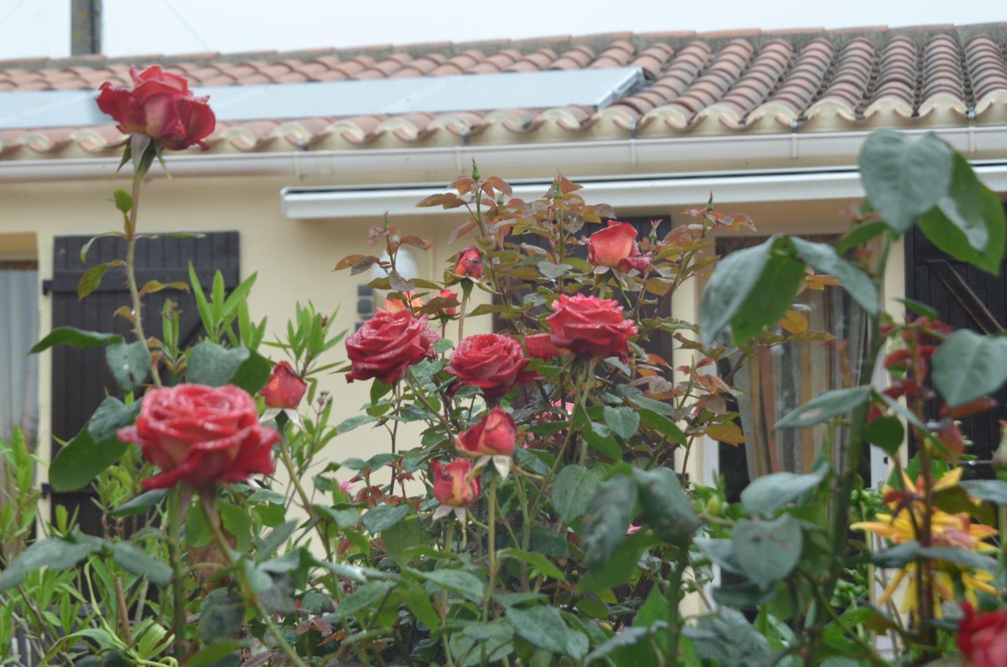 Chambres D'Hotes La Forterie Vaire ภายนอก รูปภาพ